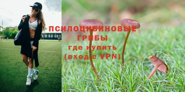 гидропоника Белокуриха
