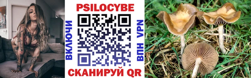 Галлюциногенные грибы MAGIC MUSHROOMS  продажа наркотиков  Чулым 