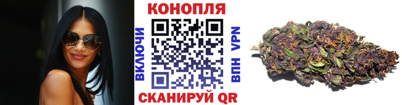 купить   Чулым  Марихуана White Widow 